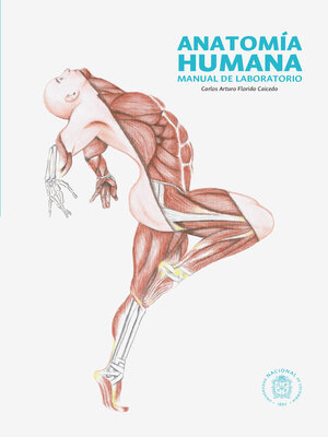Anatomía humana. Manual de laboratorio - ebook